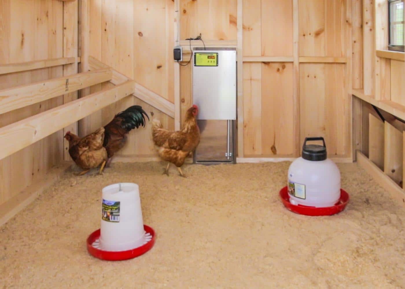 protect your chickens from predators 16 automatic chicken coop door