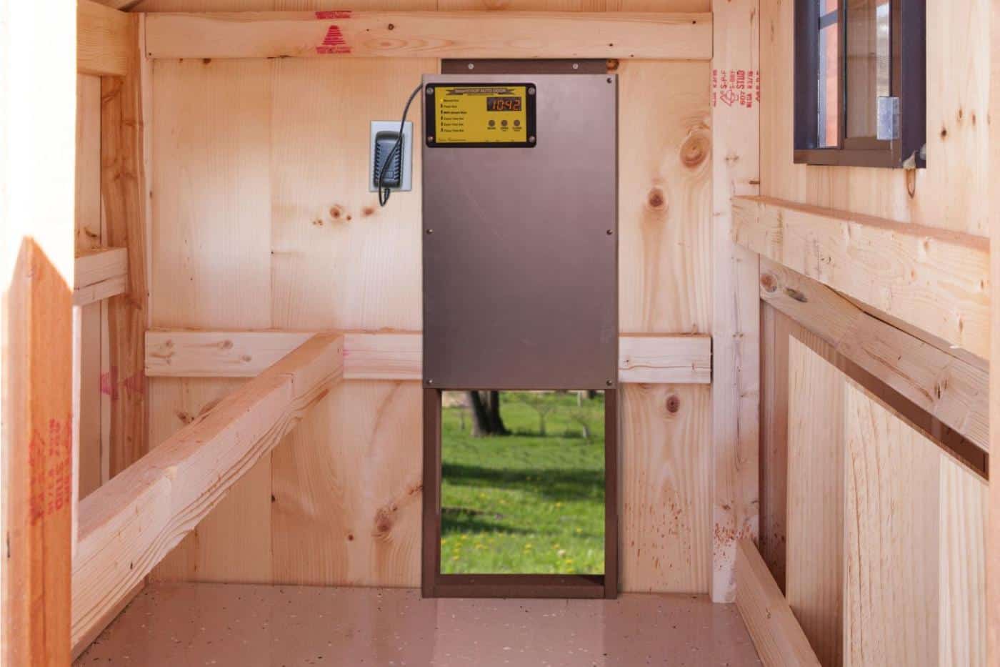 bear proof chicken coop strong door 1