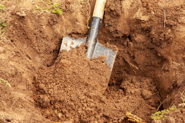 buried fencing for dogs and chickens