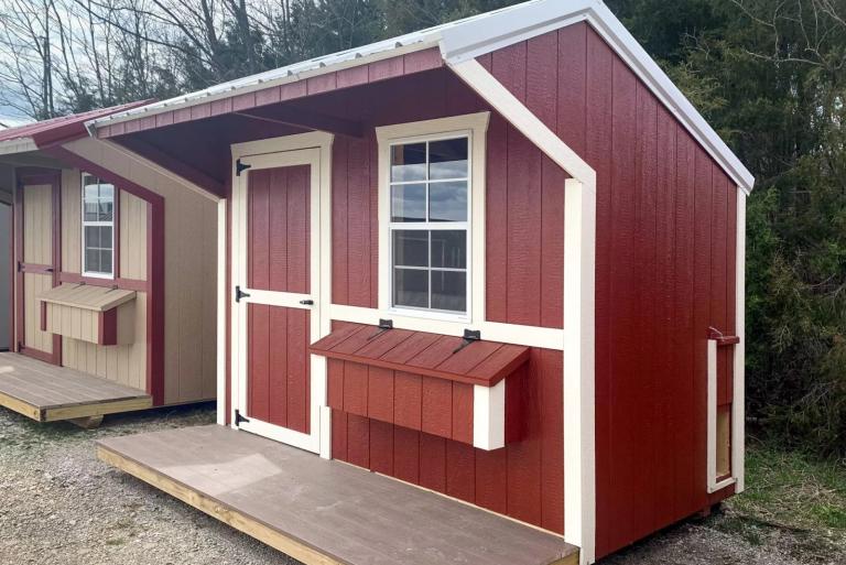 how to keep hawks away from chickens red coop