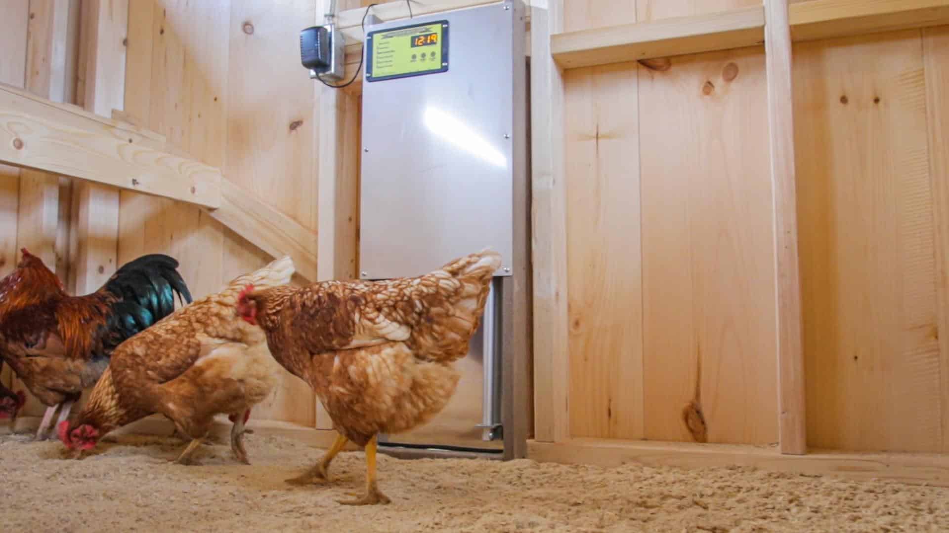 chicken coop auto door