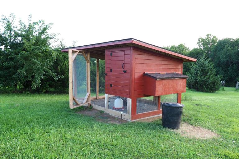 how to keep snakes away from chickens- keep the area clean