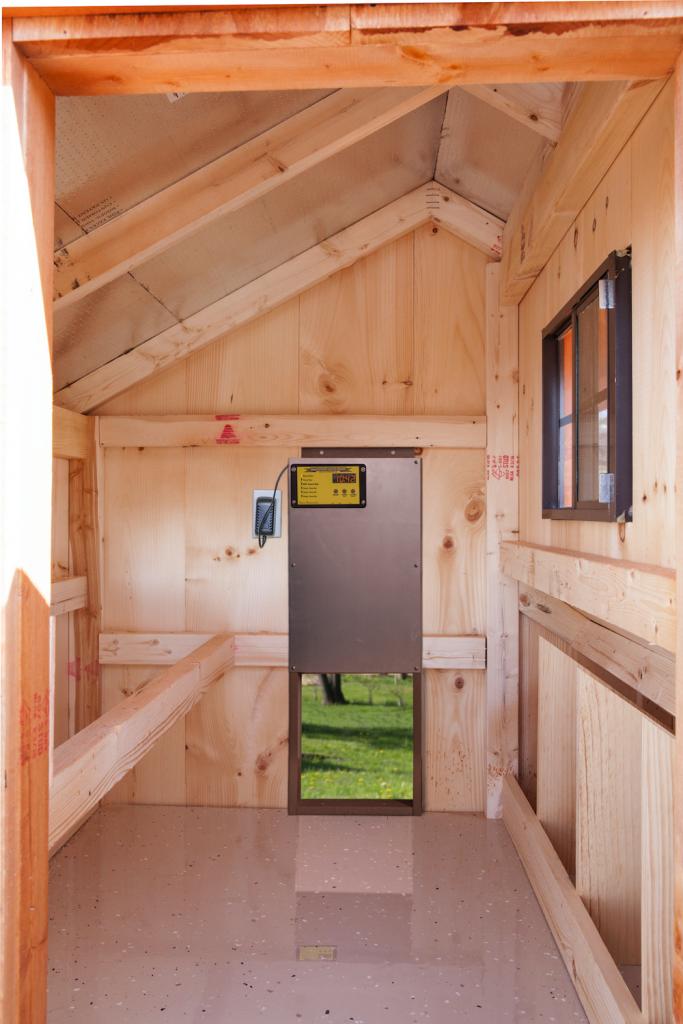 automatic chicken coop door