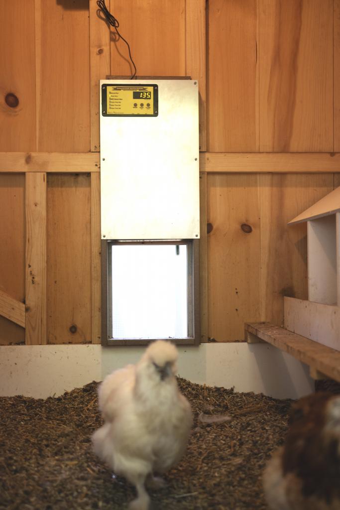 automatic chicken coop door opener