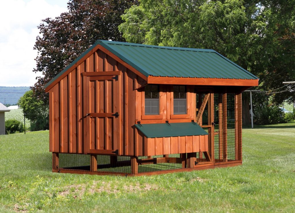 chicken coop and run q712c back bb 1600x1600